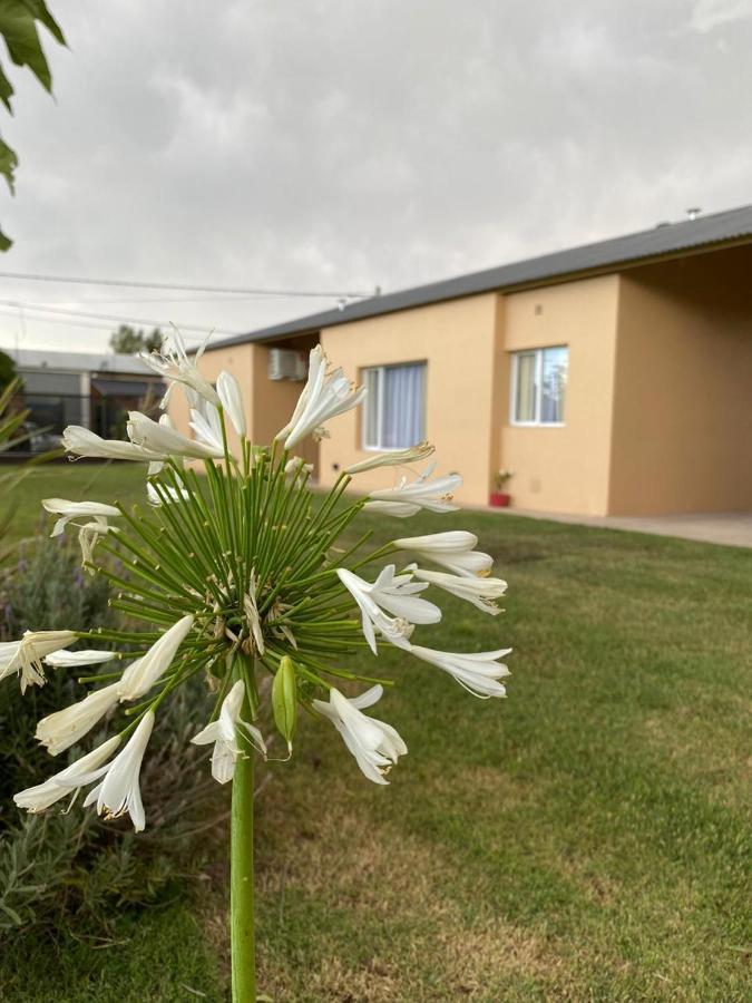 Hotel Las Catalpas Macachín Zewnętrze zdjęcie